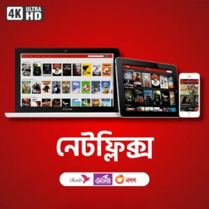 Netflix Premium (Shared / Private)