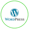 Professional WordPress Website Design Services by Reach Rider Digital Marketing Agency